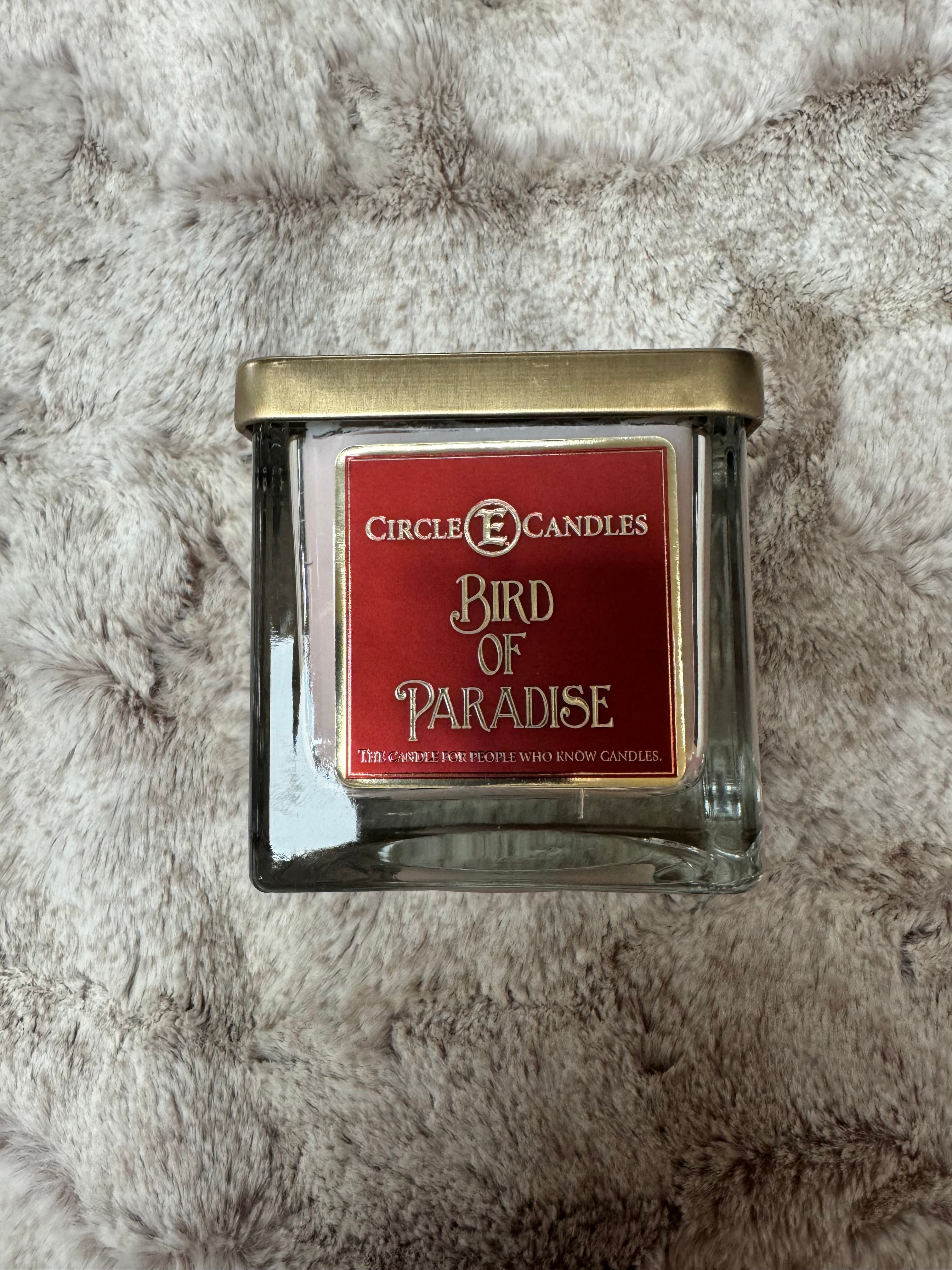 Bougie Oiseau de Paradis Circle E 8 Oz