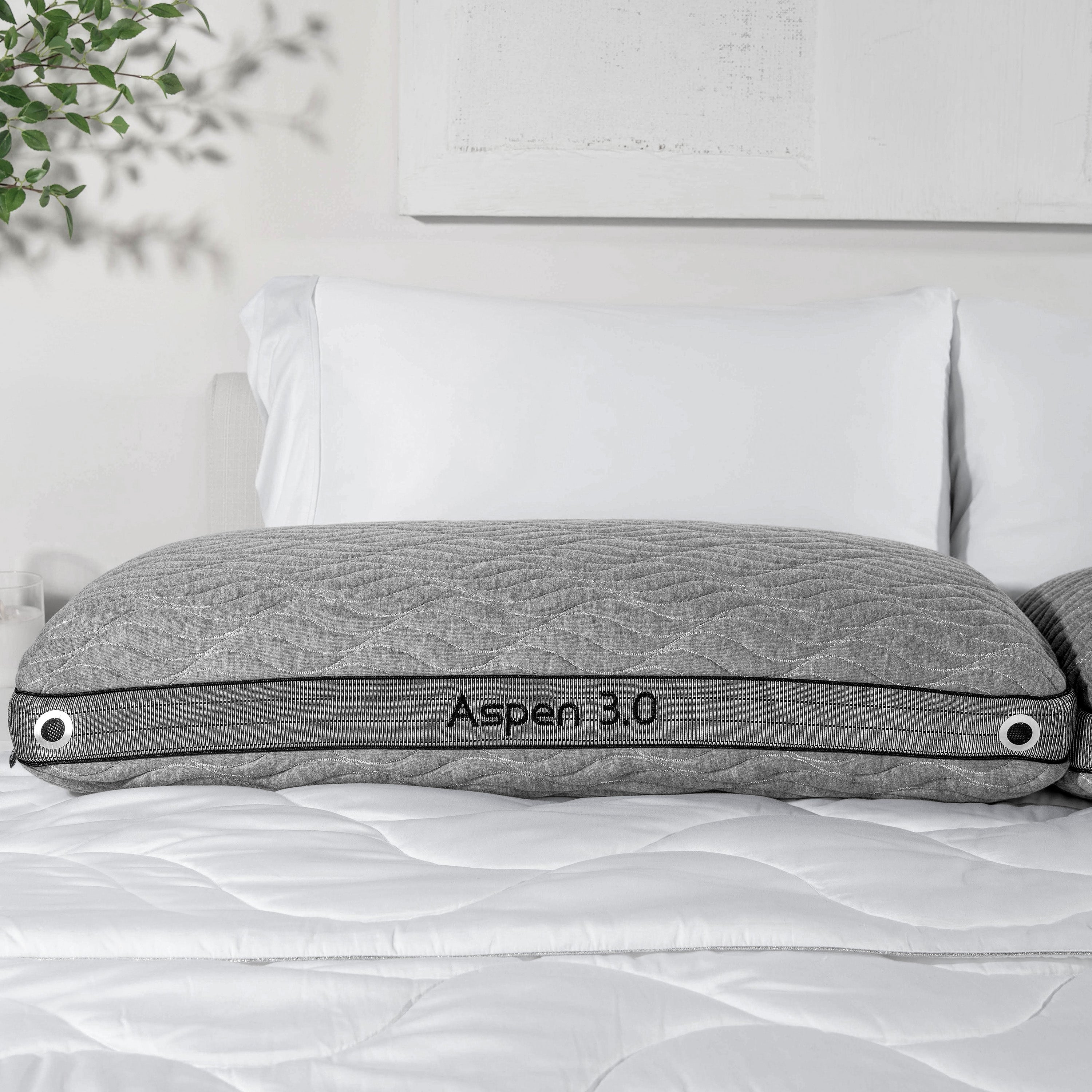 Oreiller Aspen 2.0 BGP03422P