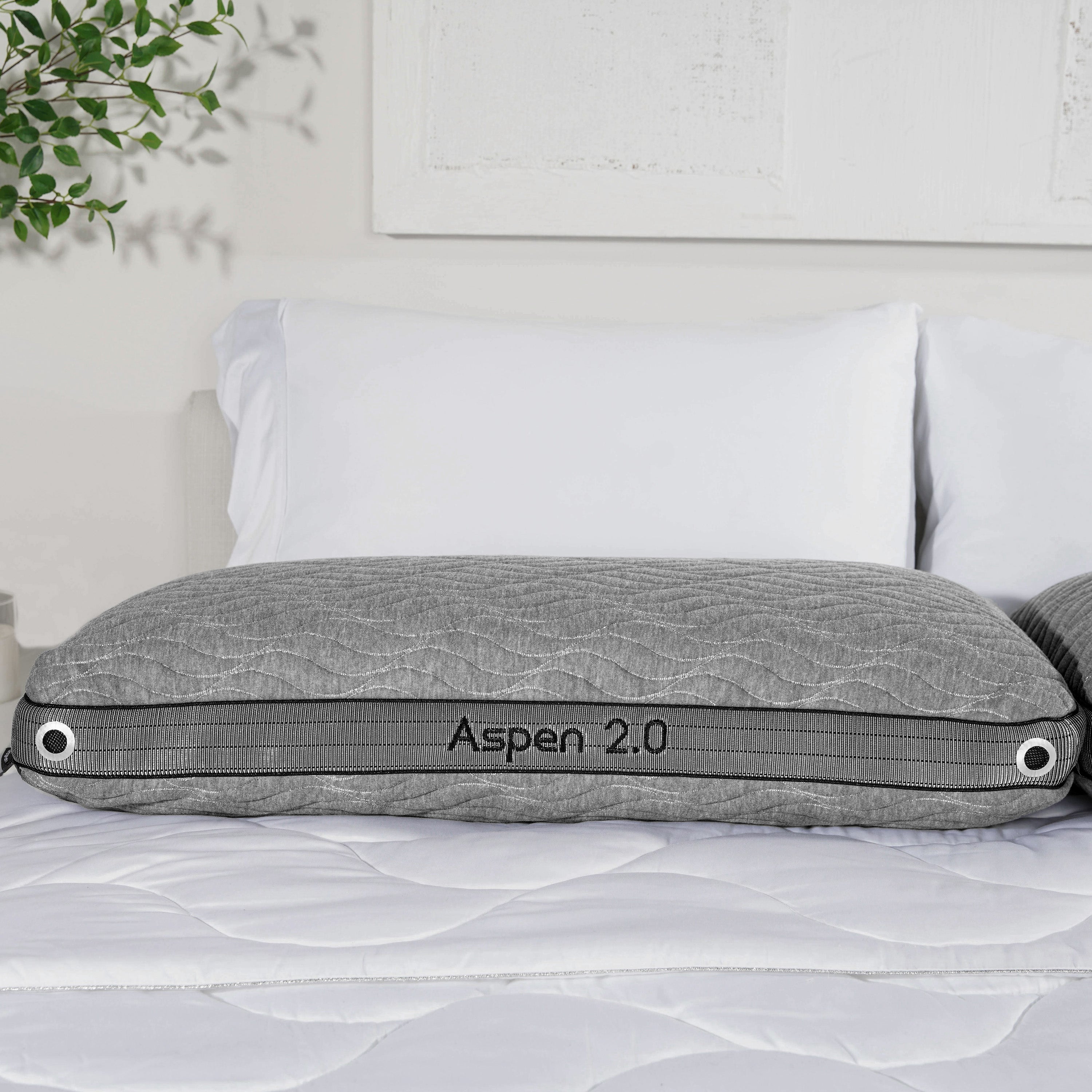 Oreiller Aspen 2.0 BGP03422P