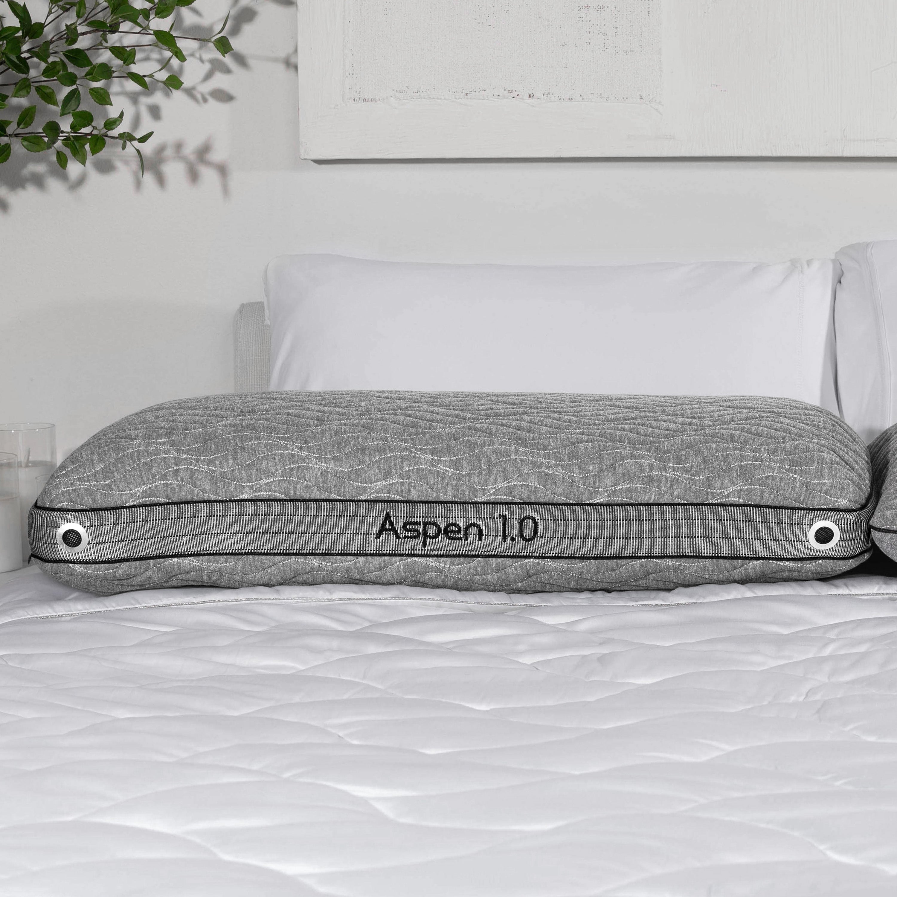 Oreiller Aspen 2.0 BGP03422P
