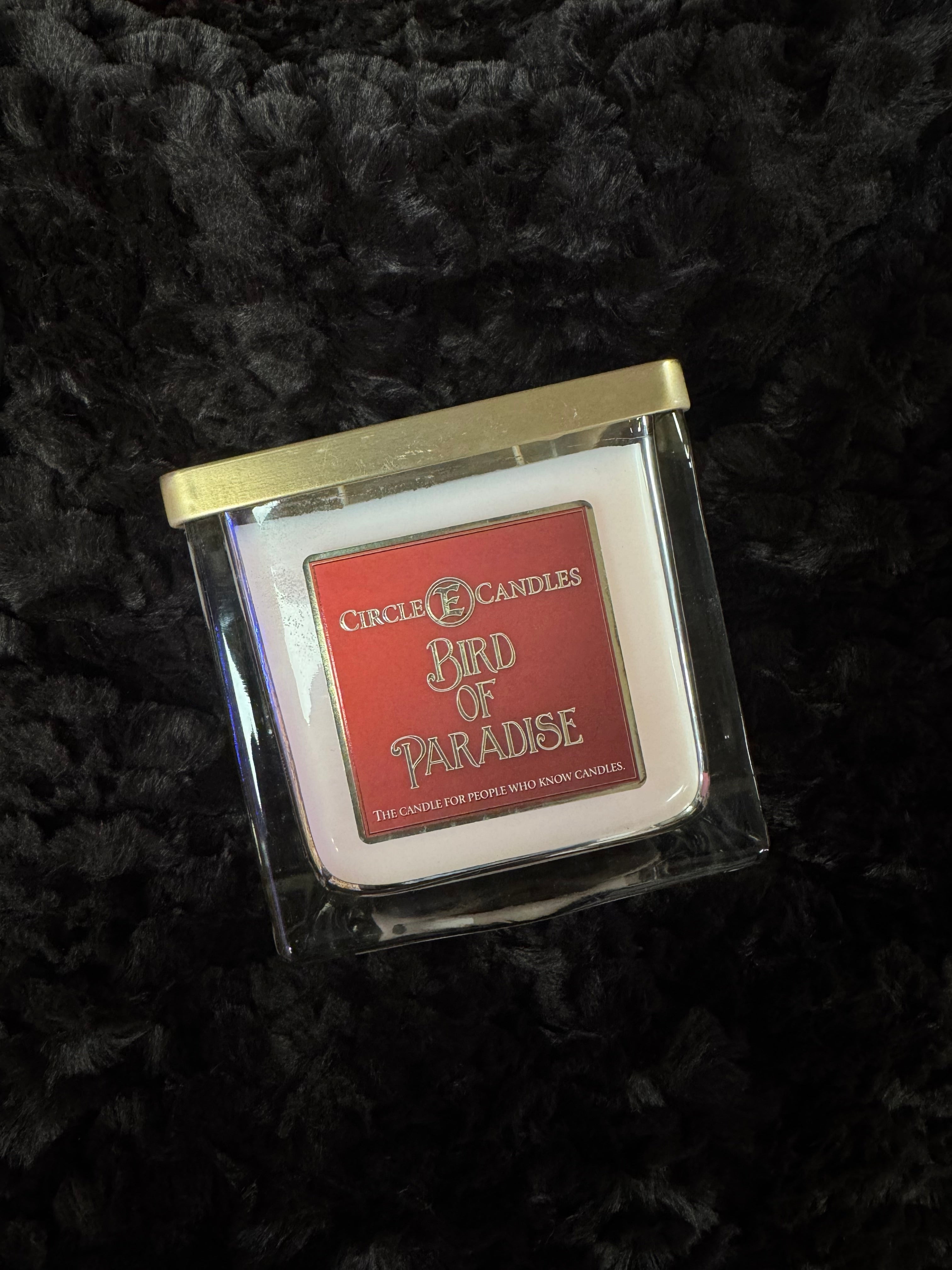 Bougie Circle E. Oiseau de paradis 43 oz