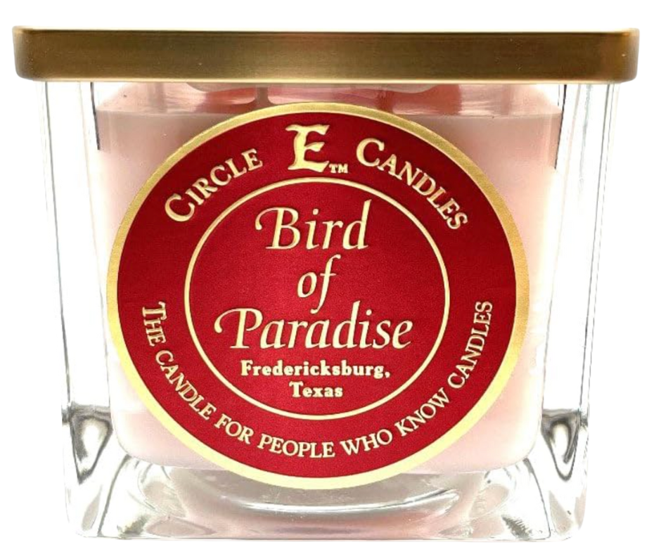 Bougie Circle E. Oiseau de paradis 43 oz